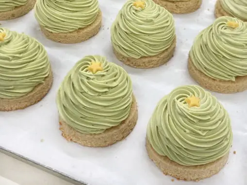 クリスマスツリーモンブラン